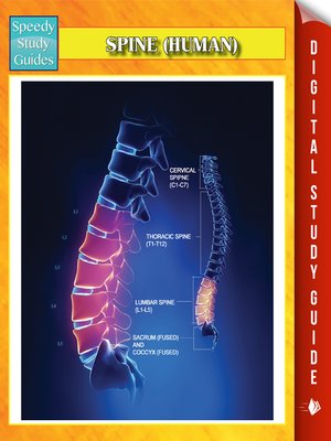 cover image of Spine (Human)